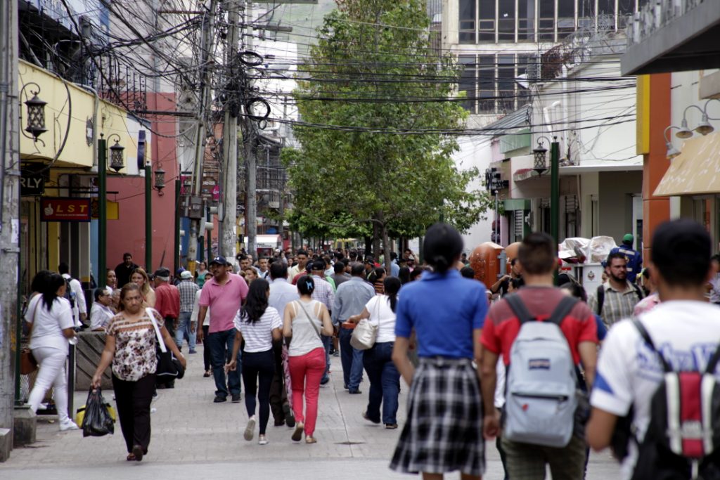 Liquidámbar del Centro Histórico de Tegucigalpa