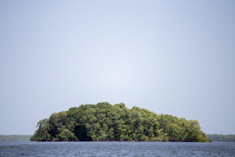 A mangrove island in Chismuyo Bay. Mangroves are a key part of the Gulf of Fonseca biodiversity, but are threatened by increasing natural resource extraction. Nacaome, July 22, 2021. Photo by Martin Calix