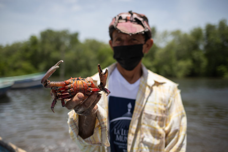 Juan Angel Arias holds up a crab he caught in Chismuyo Bay. Arias and his friends go out at 6:00 am every day to fish for a seafood broker who provides the boat and fuel. Nacaome, July 22, 2021. Photo by Martin Calix.