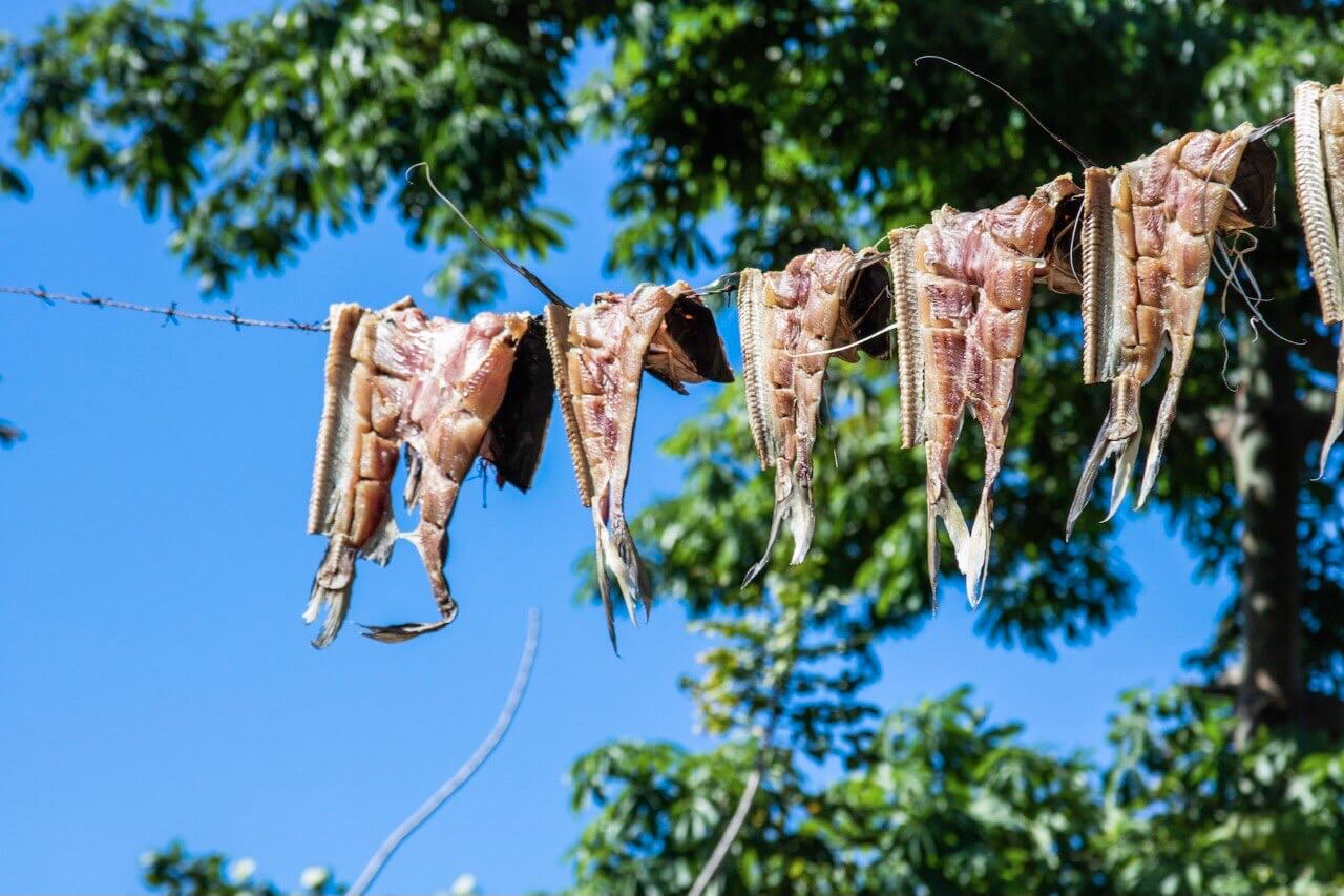 Una de las técnicas ecológicas de preparación de pescado que utiliza la comunidad es limpiarlos y secarlos al sol. Zacate Grande, Valle, 12 de diciembre de 2021.