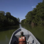 parque nacional Jeannette Kawas palma africana 2022