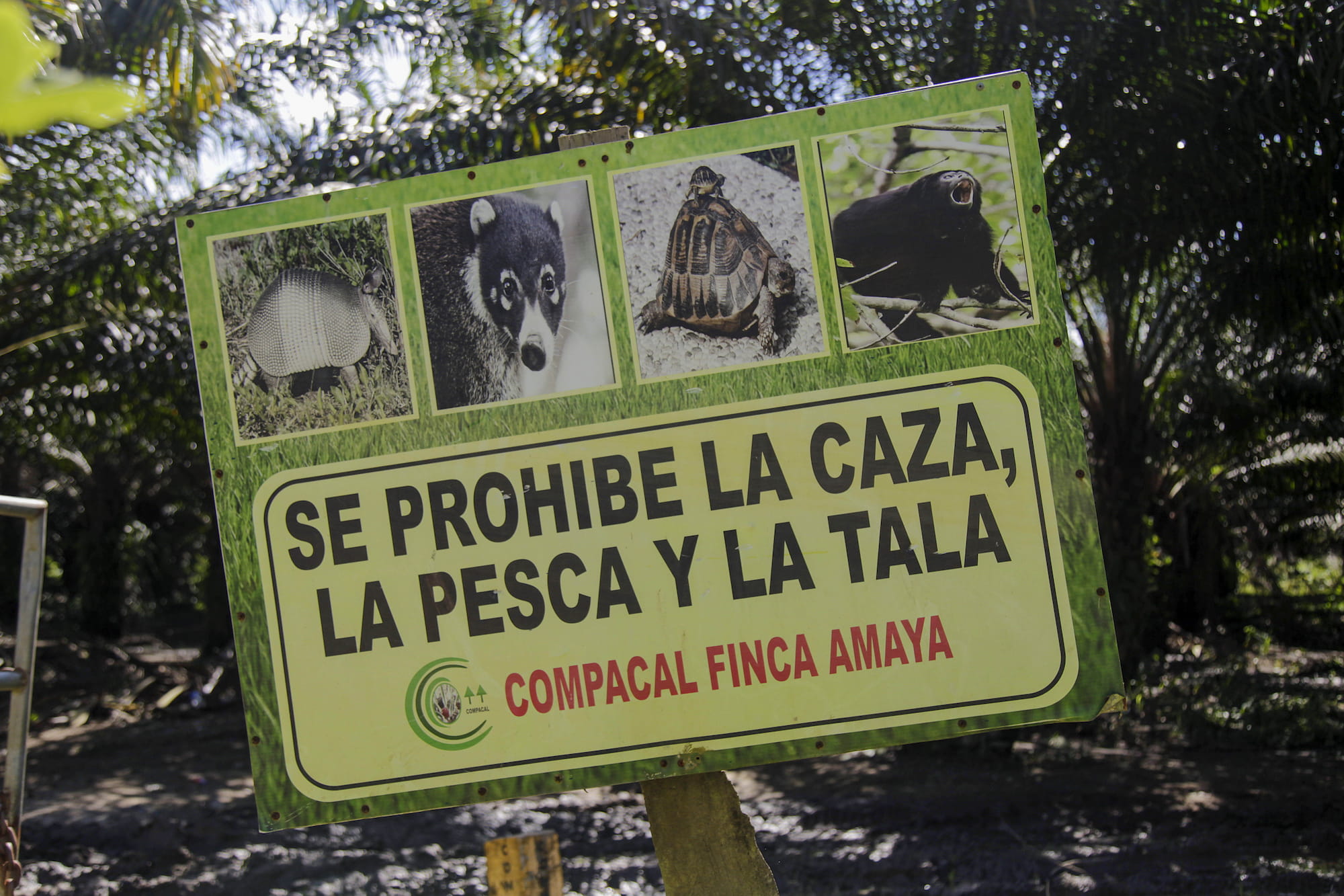 Parque Nacional Cuyamel-Omoa (Panaco)