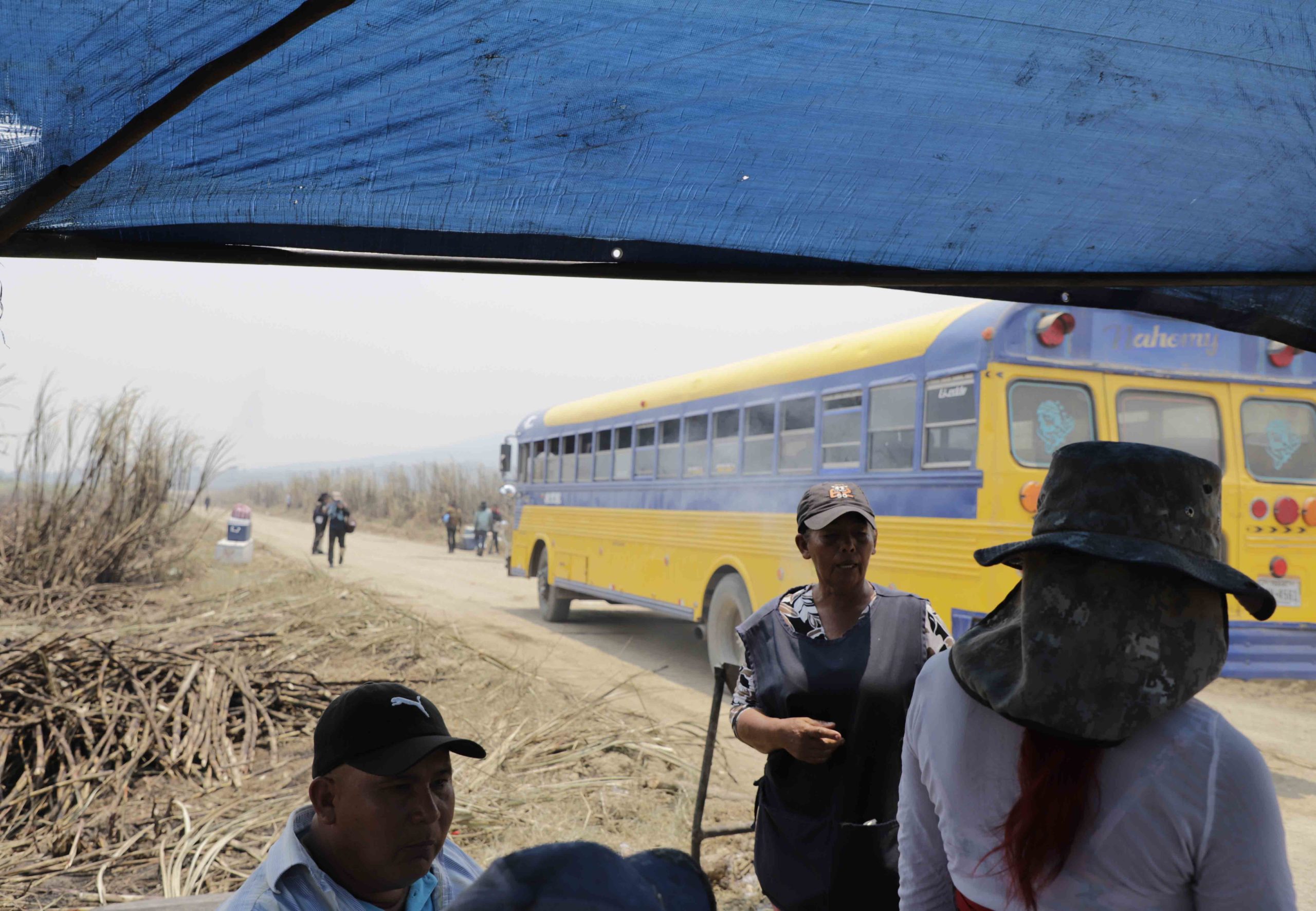 Desde muy temprano, los trabajadores comienzan sus las labores, un bus los recoge cerca de sus hogares para comenzar la faena a las 6:00 am. Foto CC/Amilcar Izaguirre