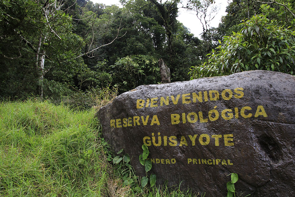 La Reserva Biológica Güisayote es una de las 24 zonas protegidas de esta categoría que hay Honduras. En Ocotepeque también se encuentra la Reserva Biológica El Pital. Foto CC/ Amilcar Izaguirre