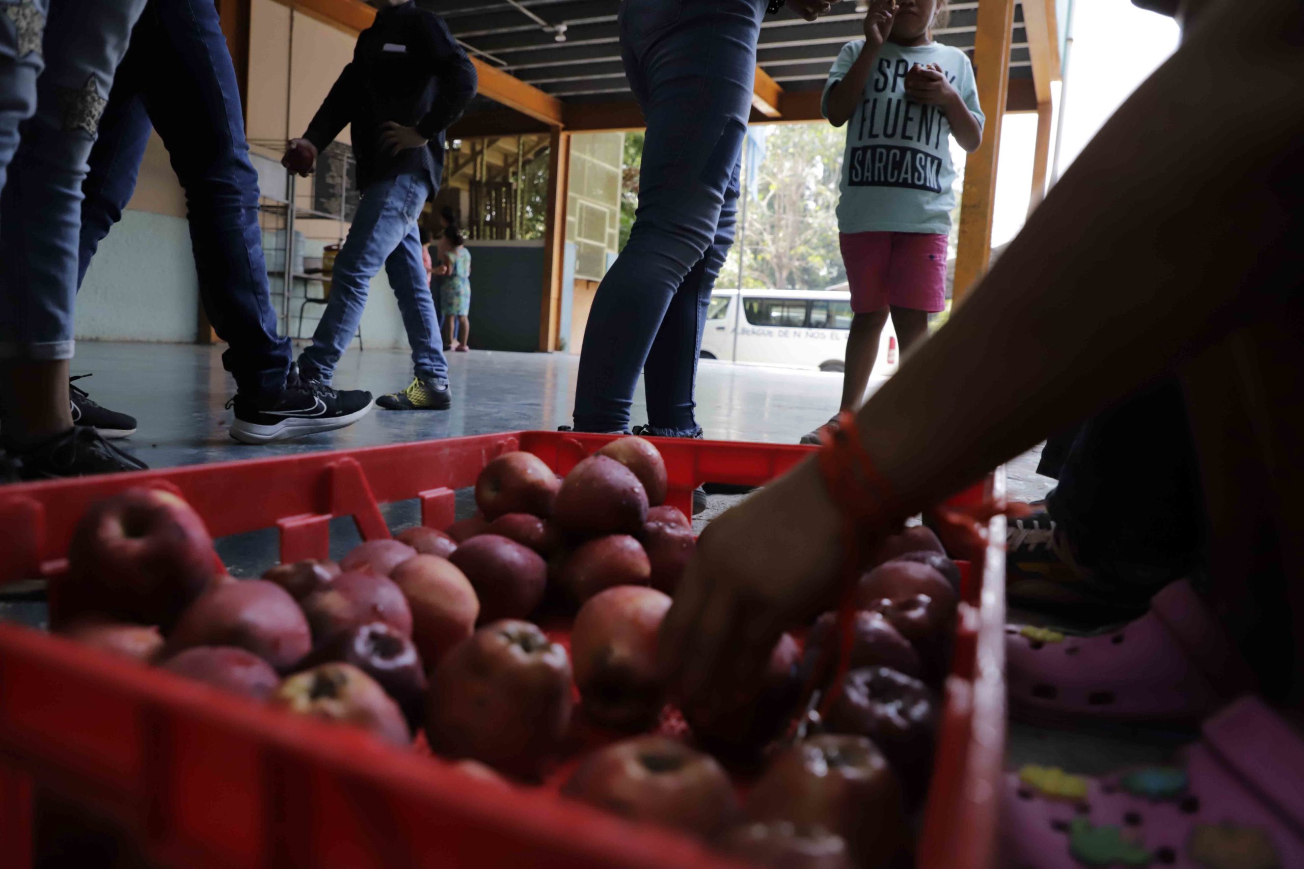 Un grupo de alumnos de la escuela rural mixta Schmid de Medina del albergue El Refugio aprovecha el recreo para comer manzanas durante el mediodía. Foto CC/Amílcar Izaguirre