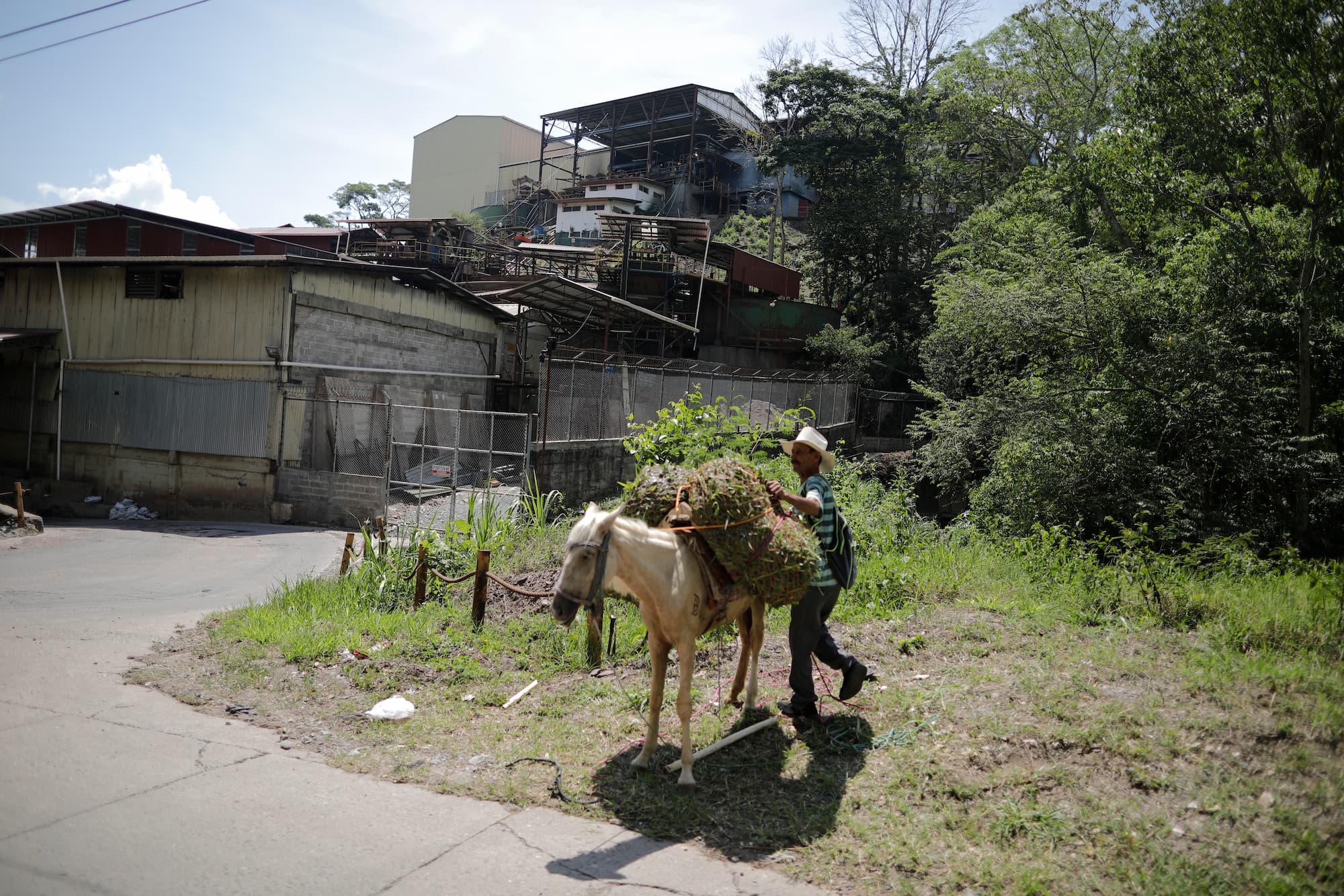 Concepción Pineda, un extrabajador de American Pacific Honduras carga alimento para su yegua frente al molino de la mina en el Mochito. Actualmente solo se dedica a la agricultura . Foto CC/Jorge Cabrera