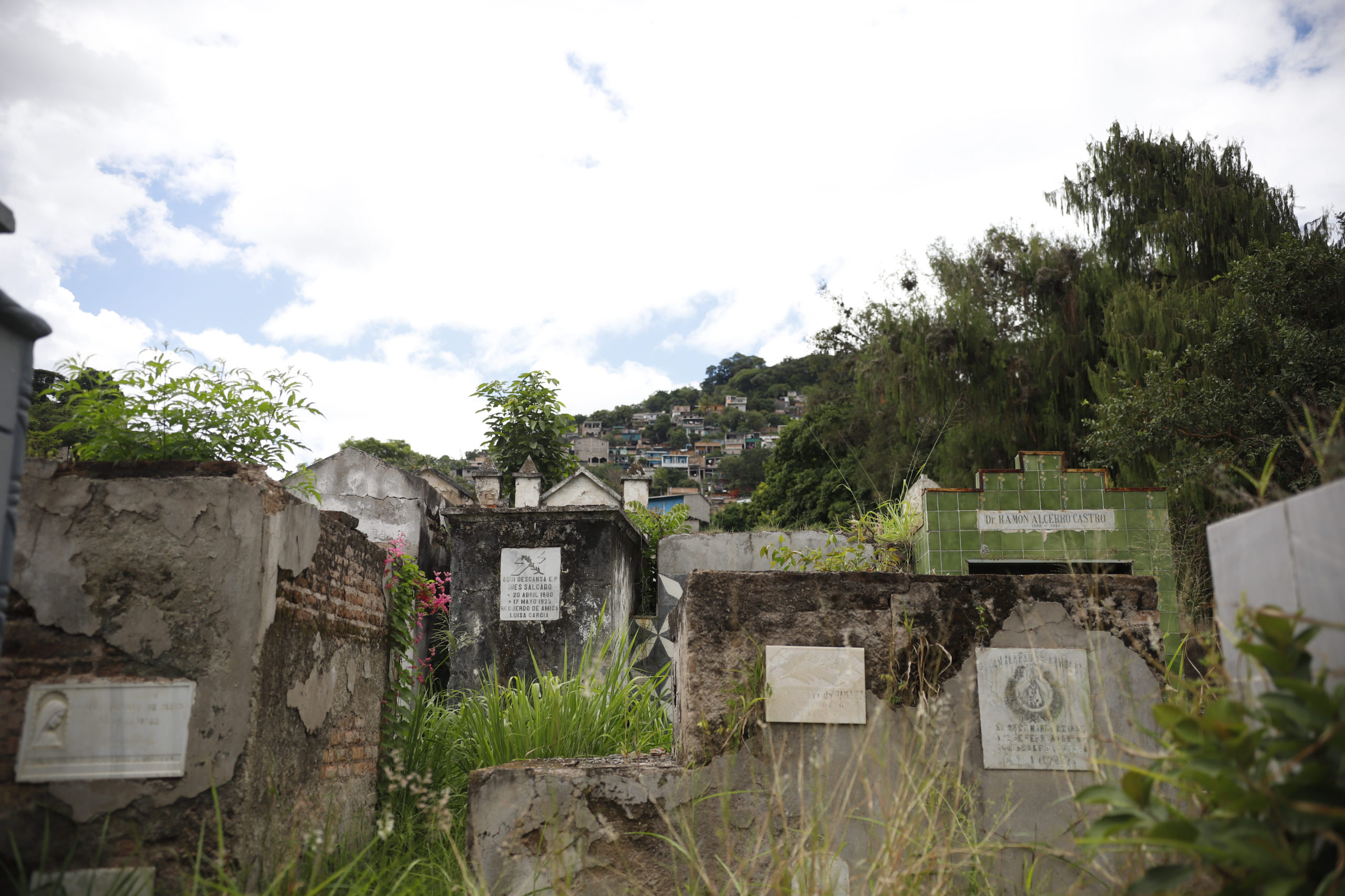 Las tumbas del Cementerio General están descuidadas y rodeadas de maleza. Foto CC/Fernando Destephen.