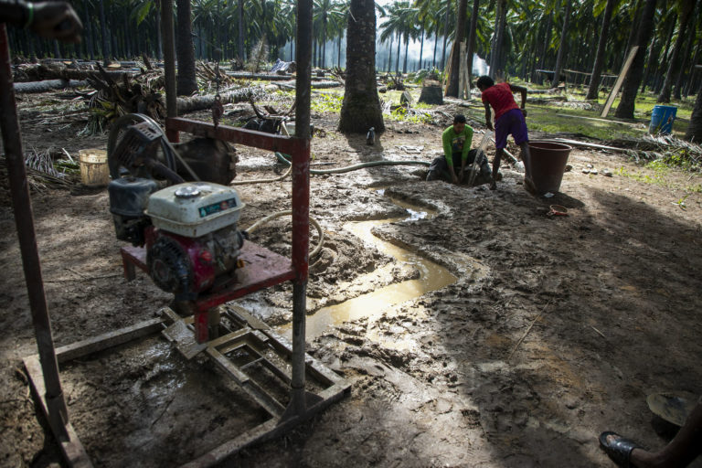 Trabajos para perforar un pozo de agua potable en el campamento Barauda. Nueva Armenia, Jutiapa, Atlántida. Octubre de 2024. Foto CC / Fernando Destephen.