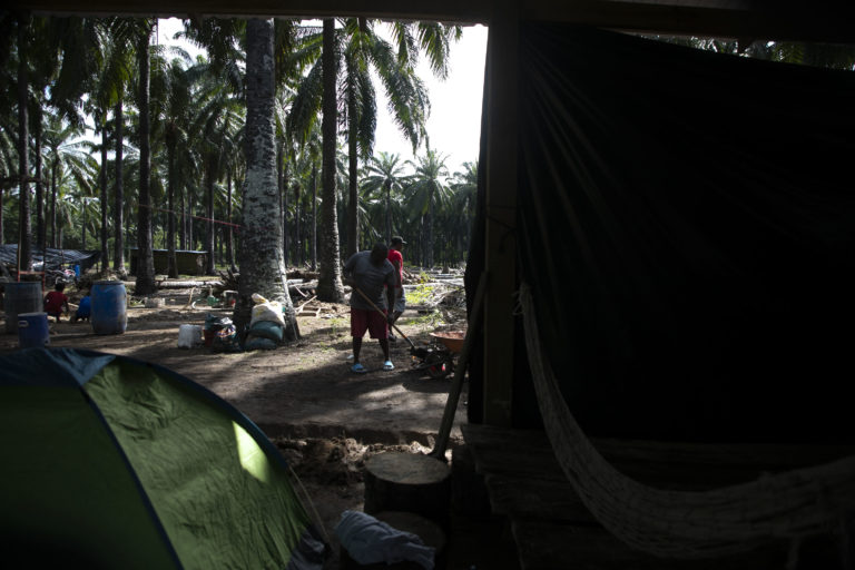 En el campamento todos tienen tareas asignadas, como trasladar la basura, acarrear agua, cocinar y limpiar el terreno asignado. Nueva Armenia, Jutiapa, Atlántida. Octubre de 2024. Foto CC / Fernando Destephen.