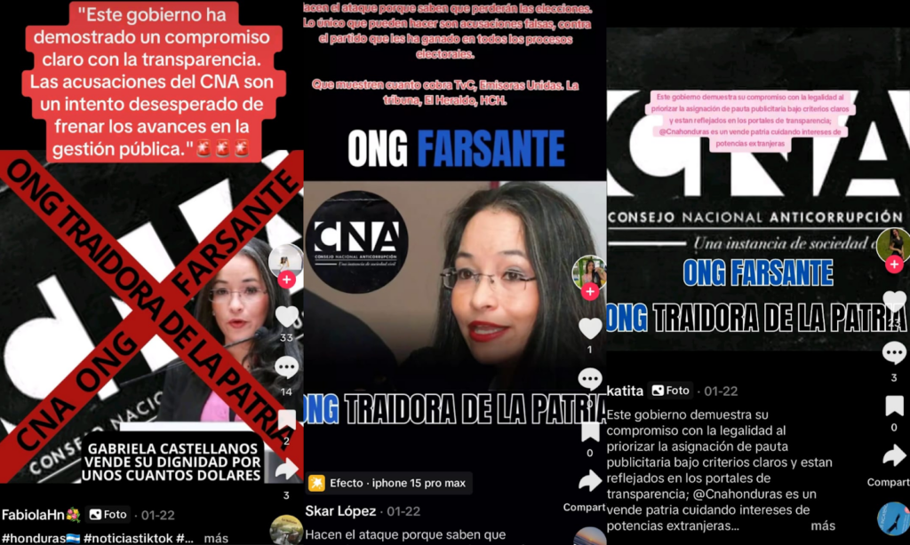 Ejemplos de cuentas de TikTok que difundieron mensajes de desprestigio contra Gabriela Castellanos después de la presentación de la denuncia contra la SPE. Capturas de imagen tomadas de TikTok.