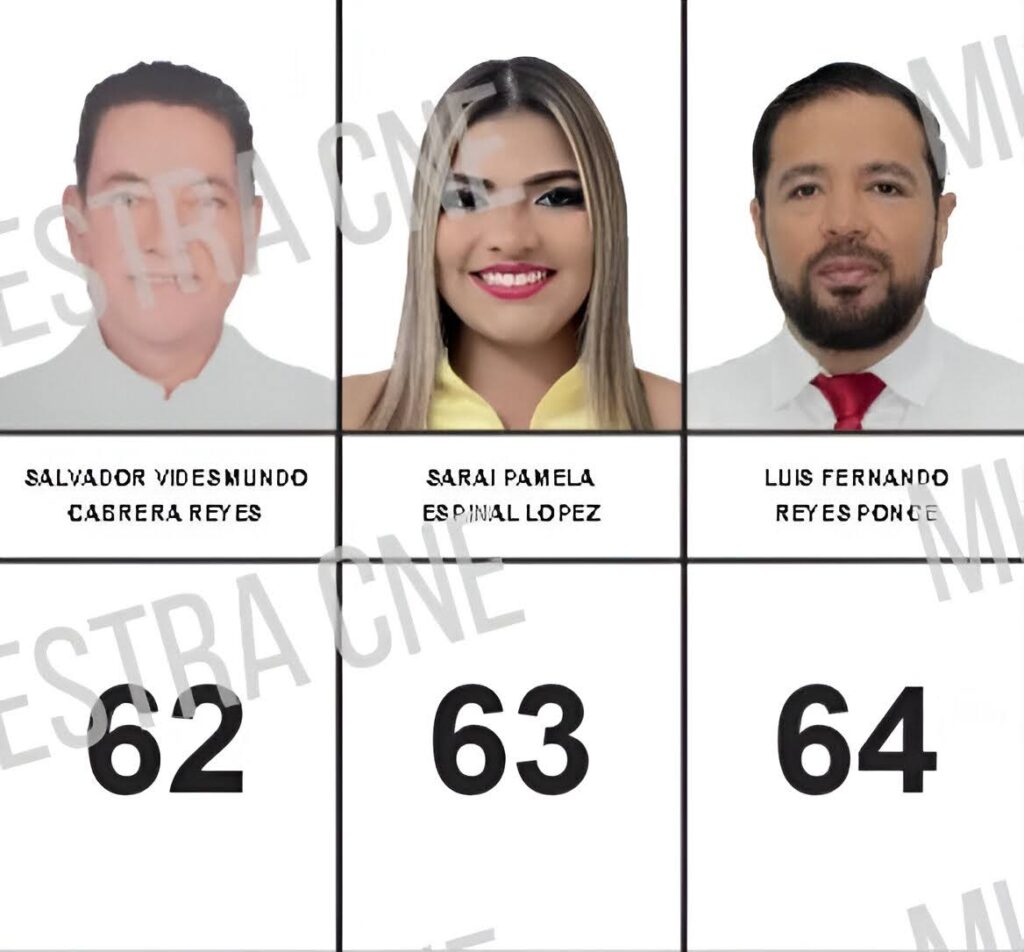 Espinal buscará una candidatura como diputada por el movimiento que dirige Salvador Nasralla dentro del Partido Liberal. Captura de imagen tomada del sitio web del CNE.