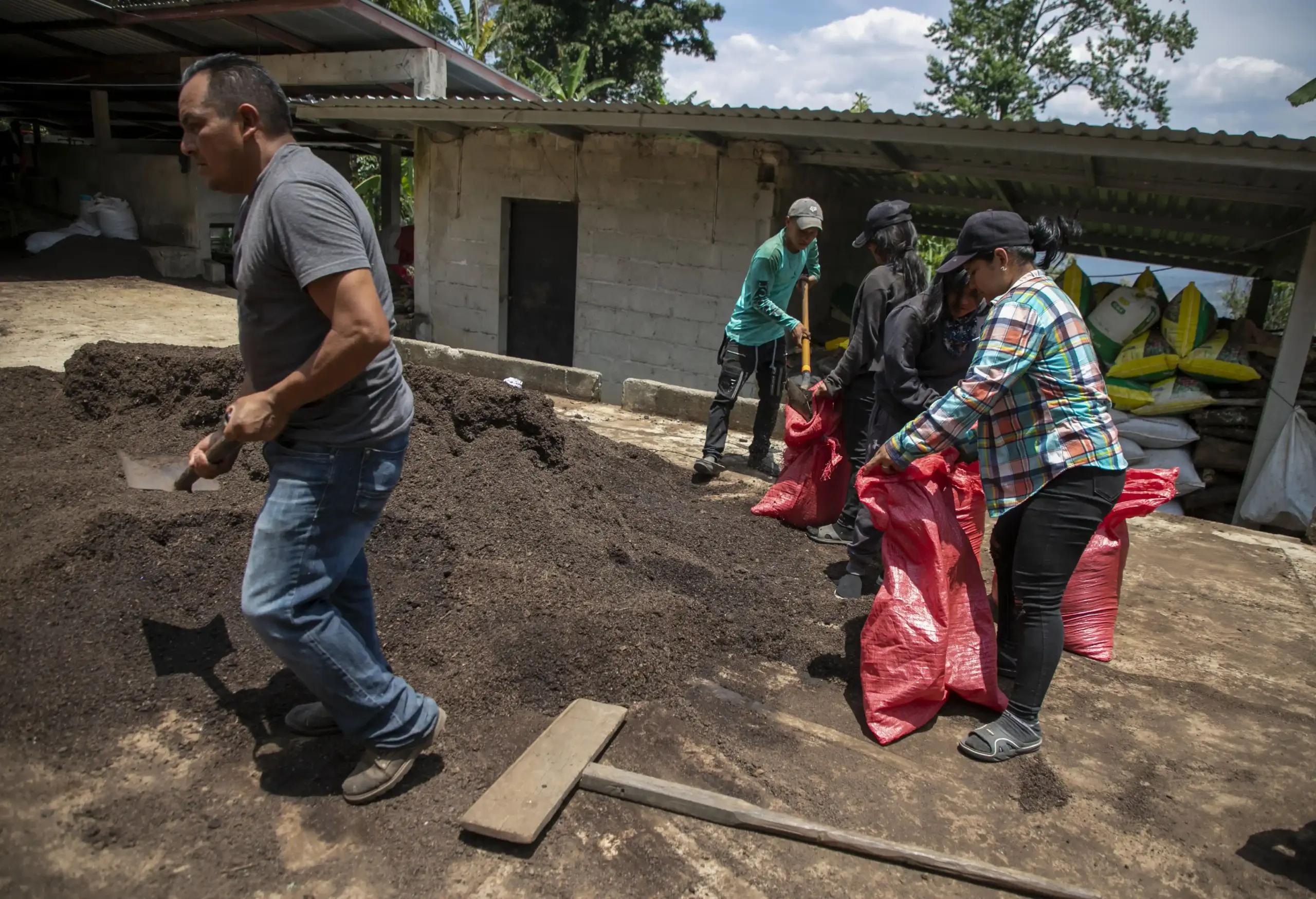 Parte de los trabajos en la zona es llevar abono orgánico - Contra Corriente