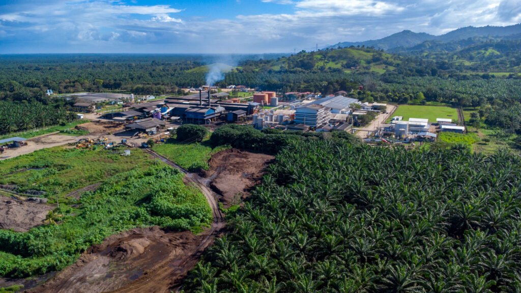 Planta procesadora de Corporación Dinant en Tocoa, Honduras. Foto de Seth Berry.