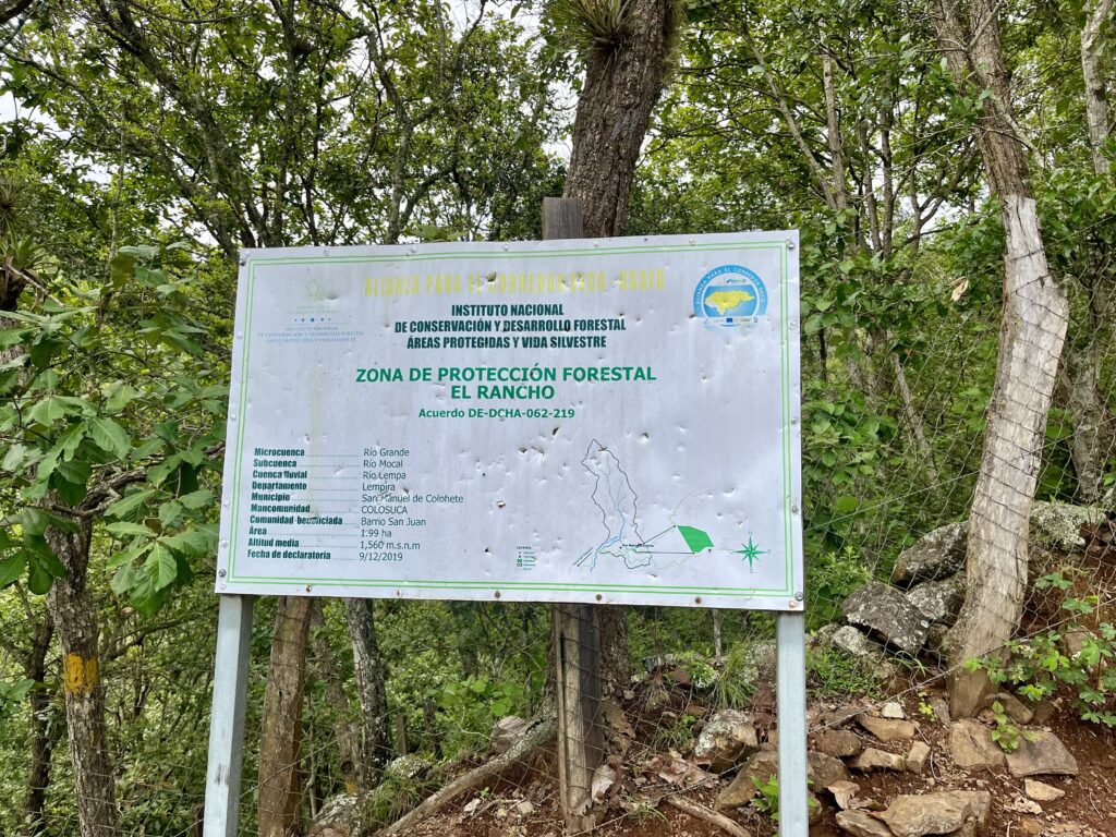 Área protegida alrededor de la microcuenca «El Rancho» en San Manuel de Colohete, Lempira, Honduras. Fotografía: Parker Asmann