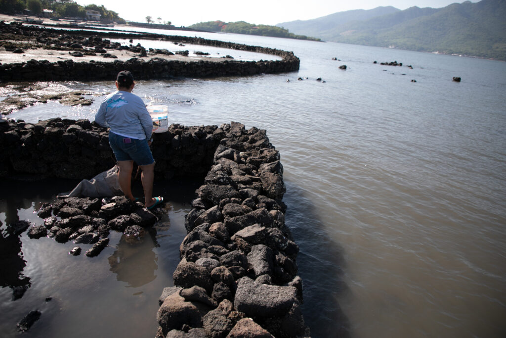 Los muros de piedra sirven para contener el agua, pero también facilitan la recolección de moluscos en el Golfo de Fonseca. Foto CC / Fernando Destephen