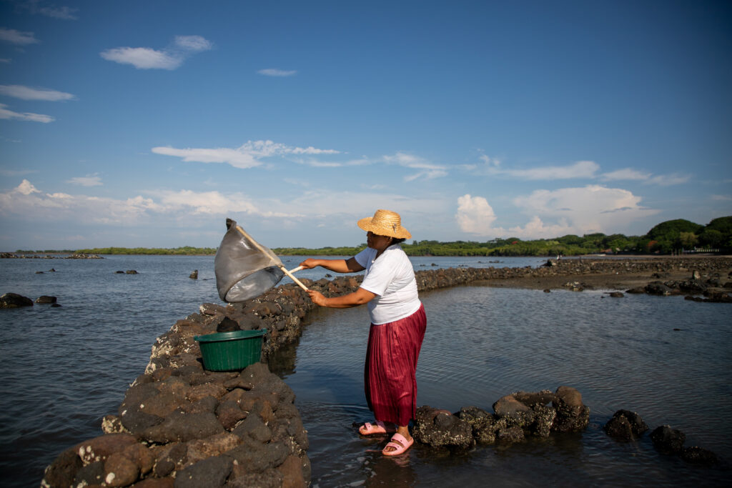Liliana García también aprovecha las sardinas que quedan atrapadas en las piscinas cuando la marea baja. Foto CC/ Fernando Destephen